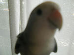 DSCN1297.JPG