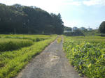 DSCN1335.JPG