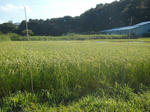 DSCN1334.JPG