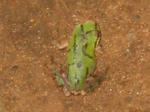 RSCN1366.JPG