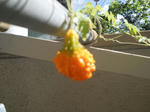 DSCN1378.JPG