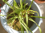 DSCN1381.JPG