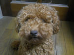 DSCN1384.JPG