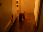 DSCN1382.JPG