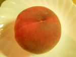 DSCN1395.JPG