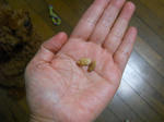 DSCN1405.JPG