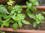 DSCN1408.JPG