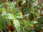 DSCN1409.JPG