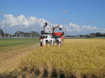 DSCN1453.JPG