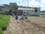DSCN1458.JPG