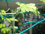 DSCN1472.JPG