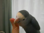 DSCN1495.JPG