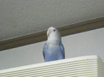 DSCN1500.JPG