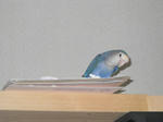 DSCN1503.JPG