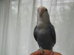 DSCN1497.JPG