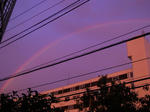 DSCN1510.JPG