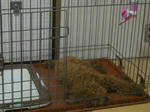 DSCN1385.JPG
