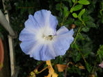 DSCN1541.JPG