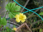 DSCN1549.JPG