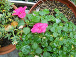 DSCN1542.JPG