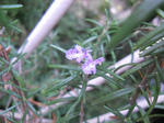 DSCN1543.JPG