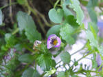 DSCN1547.JPG