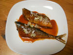 DSCN1552.JPG