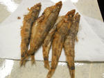 DSCN1576.JPG