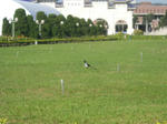 DSCN1686.JPG