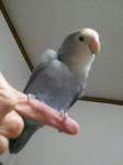 DSCN1719.JPG