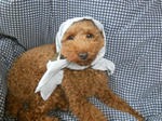 DSCN1725.JPG