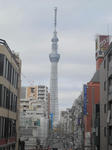DSCN1730.JPG