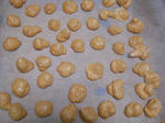 DSCN1737.JPG