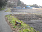 DSCN1746.JPG