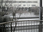 DSCN1763.JPG