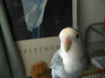 DSCN1749.JPG