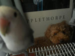 DSCN1748.JPG