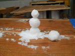 DSCN1777.JPG
