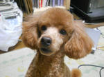 DSCN1788.JPG