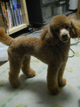 DSCN1789.JPG