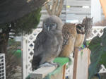 DSCN1801.JPG