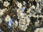 DSCN1822.JPG