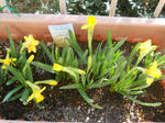 DSCN1826.JPG