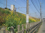 DSCN1829.JPG