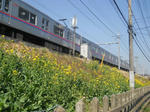DSCN1830.JPG
