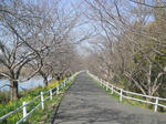 DSCN1831.JPG