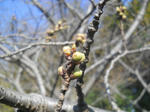 DSCN1832.JPG
