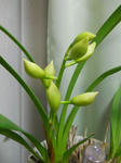 DSCN1837.JPG