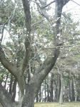 130320_114332.jpg