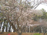 DSCN1838.JPG